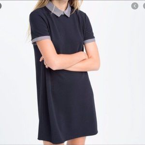 Zara Trafaluc Collar Shift Mini Dress